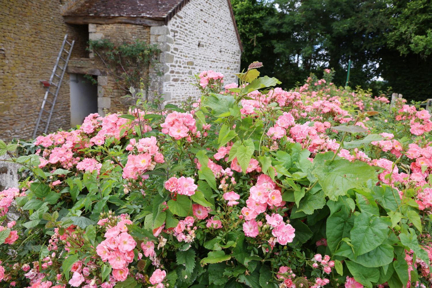 Saint-Denis-sur-Sarthon Chambre D'Hote Courtoux מראה חיצוני תמונה